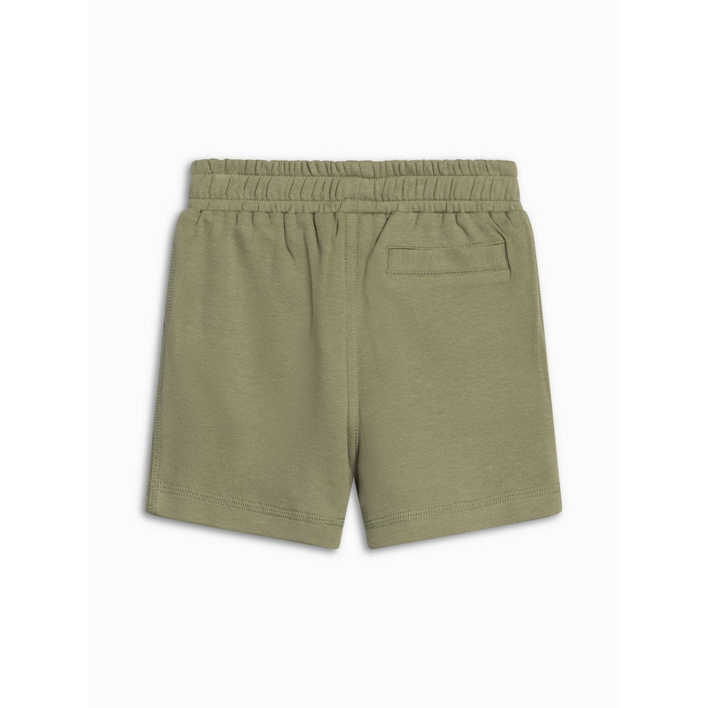 Colored Organics Dane Shorts - Fern