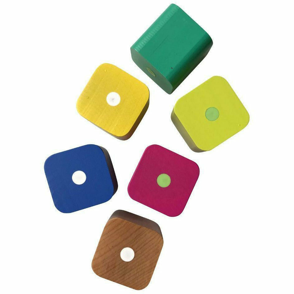 Tegu Baby's First Blocks