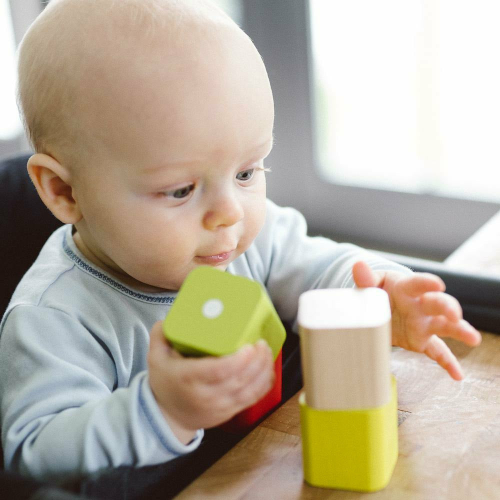 Tegu Baby's First Blocks
