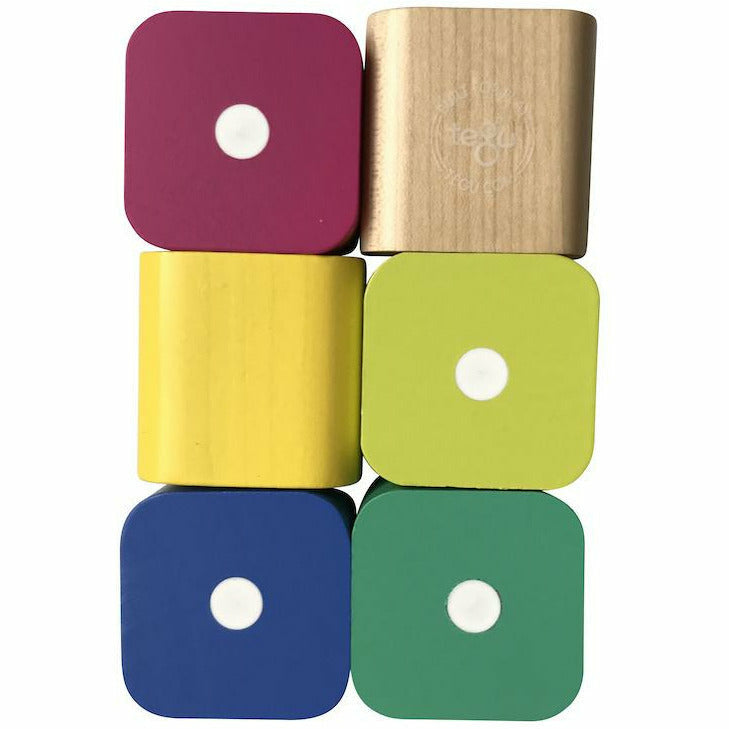 Tegu Baby's First Blocks