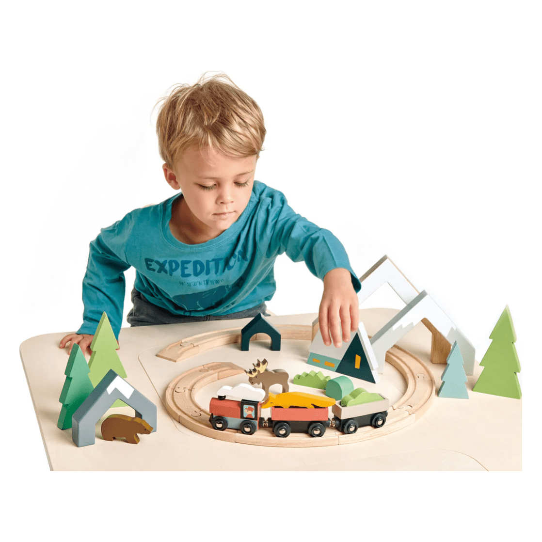 Tender Leaf Treetops Train Set