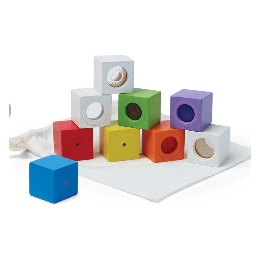 Plan Toys Activity Blocks