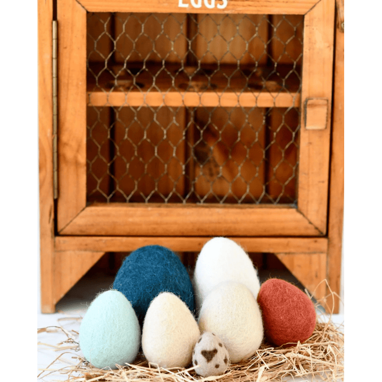 Tara Treasures Felt Eggs- 7 Types of Poultry Eggs
