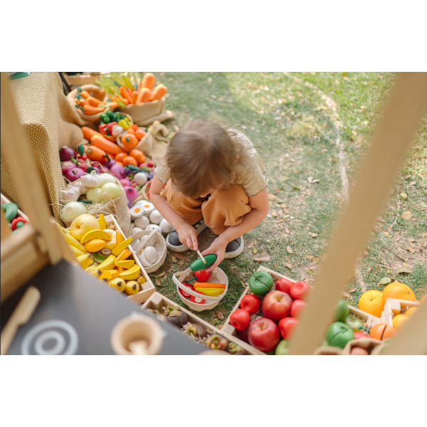 Plan Toys Farmers Market Mix Basket