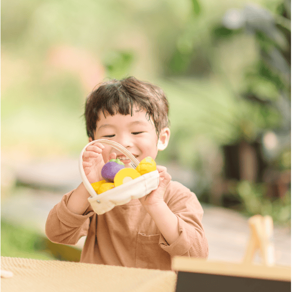 Plan Toys Tropical Fruit Basket