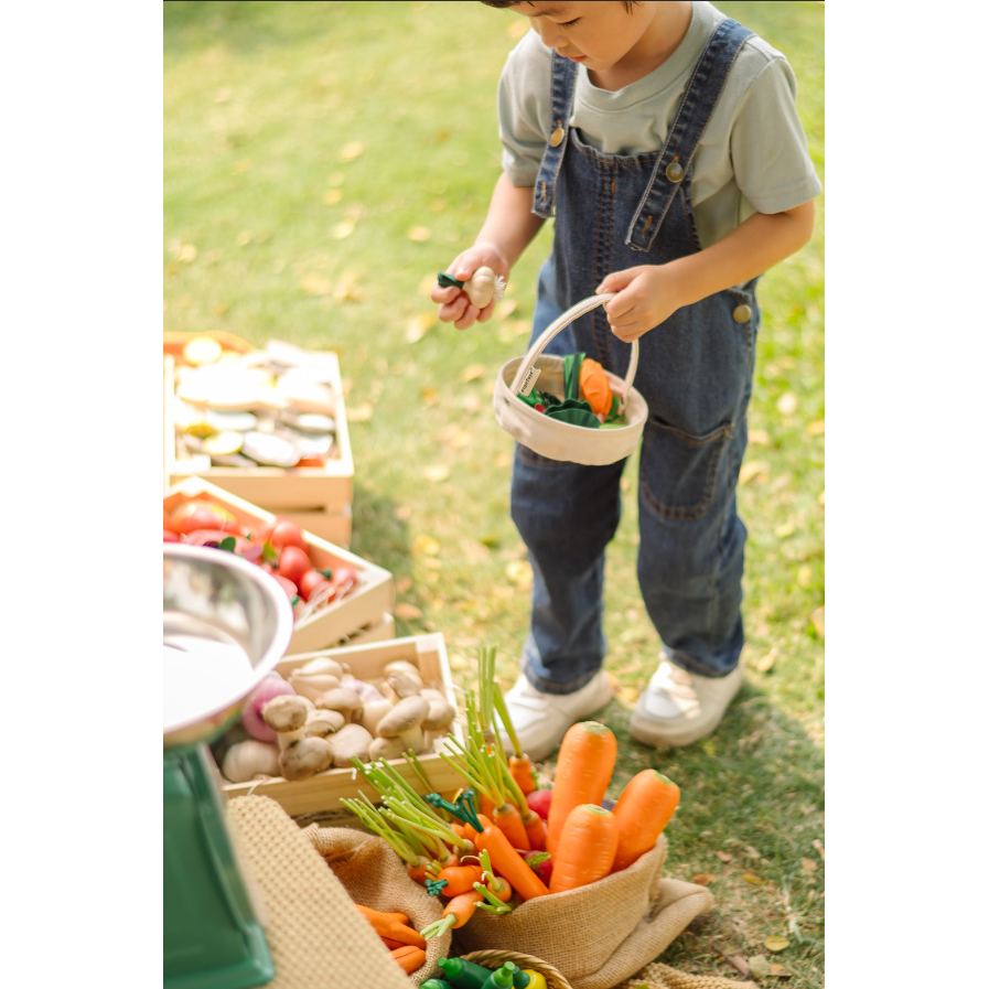 Plan Toys Fresh Veggie Basket