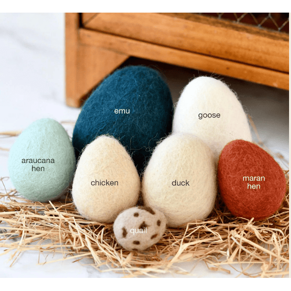 Tara Treasures Felt Eggs- 7 Types of Poultry Eggs