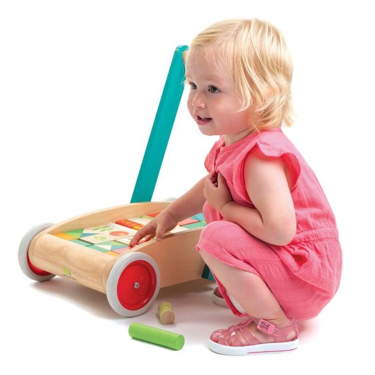 Tender Leaf  Baby Block Walker
