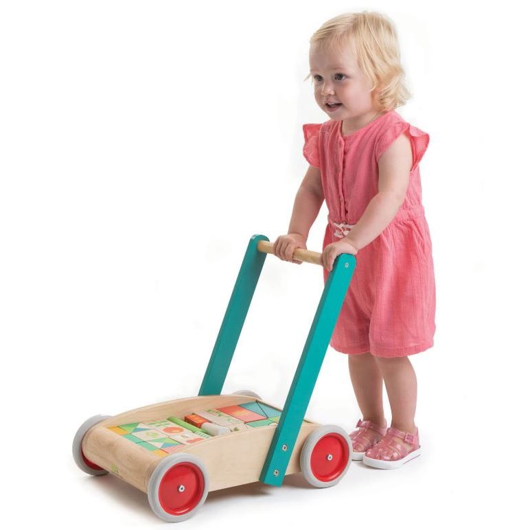 Tender Leaf  Baby Block Walker