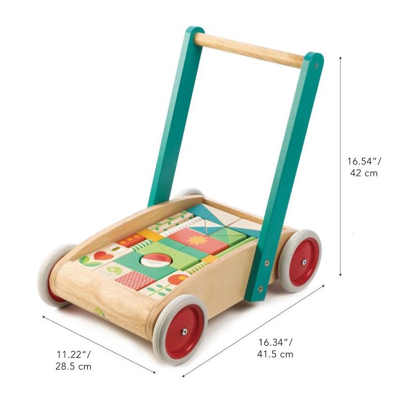 Tender Leaf  Baby Block Walker