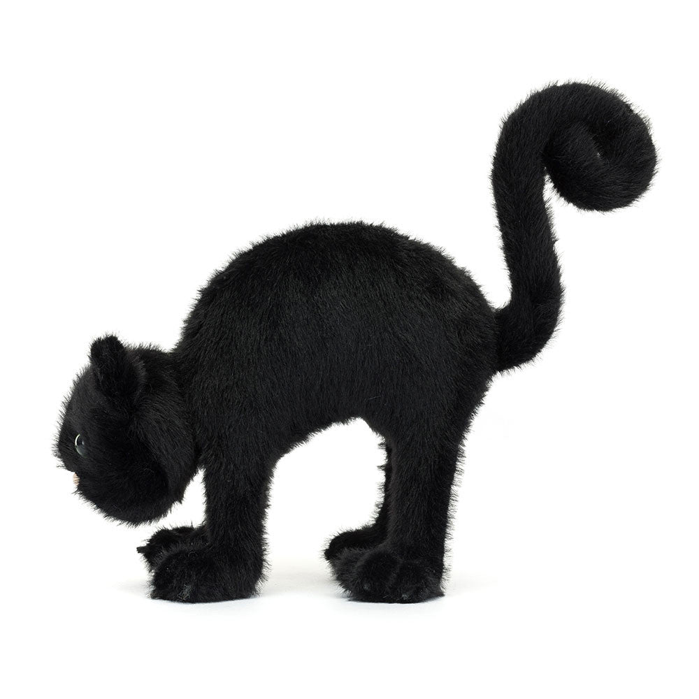 Spookipaws Cat