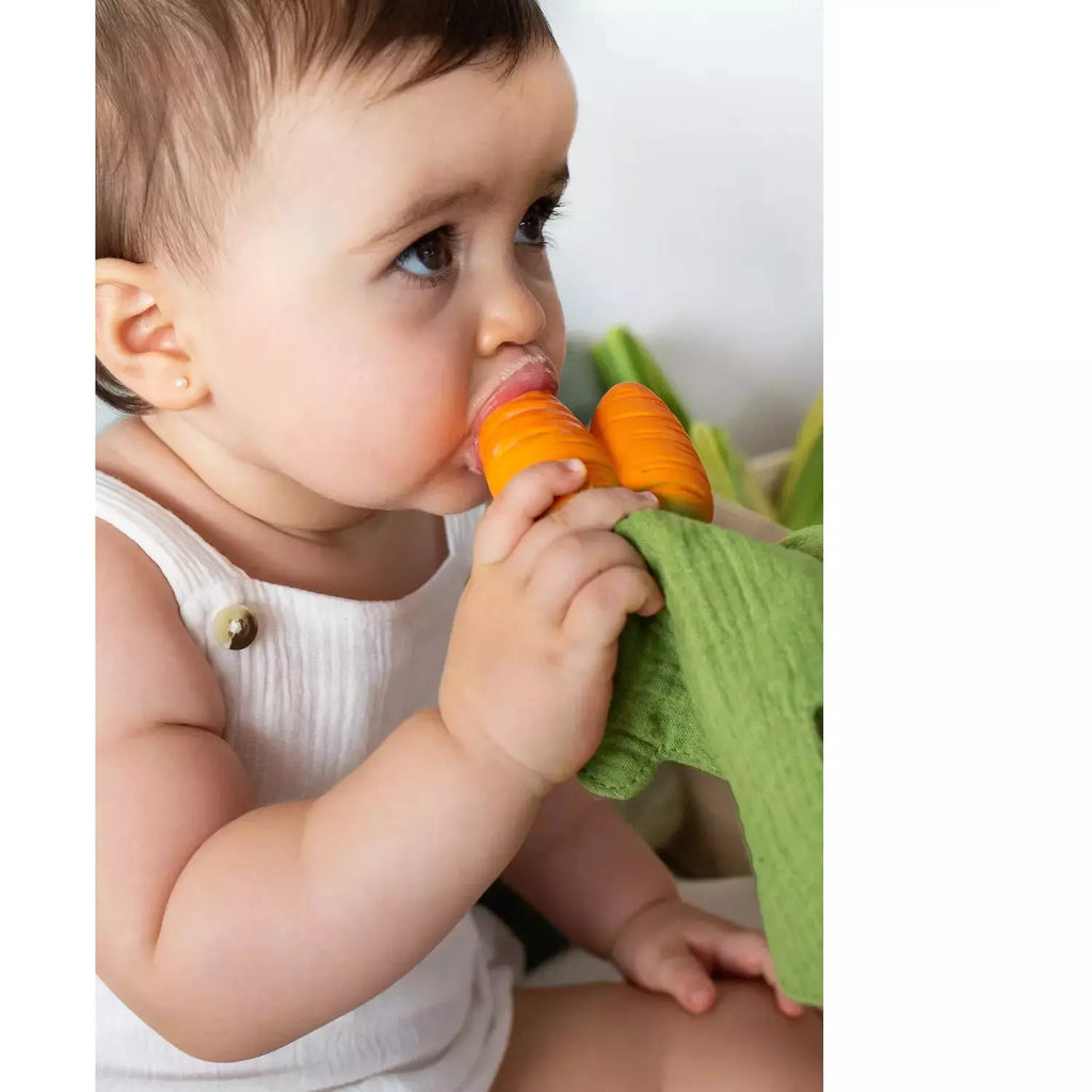 Oli & Carol Cathy the Carrot Mini Doudou Teether