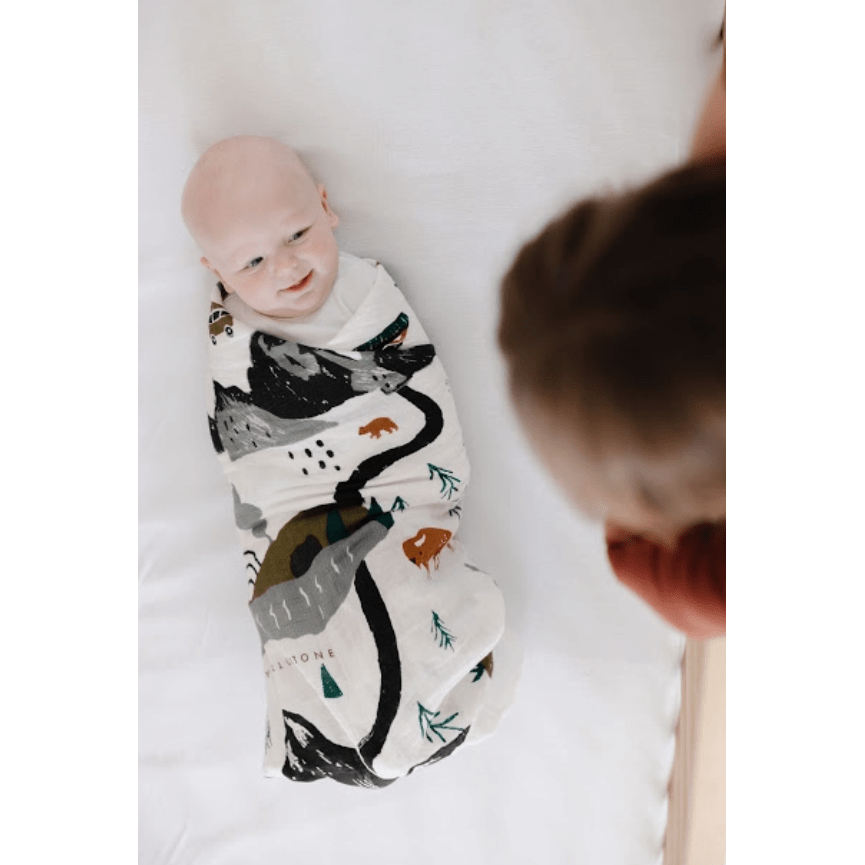 Clementine Kids National Parks Swaddle
